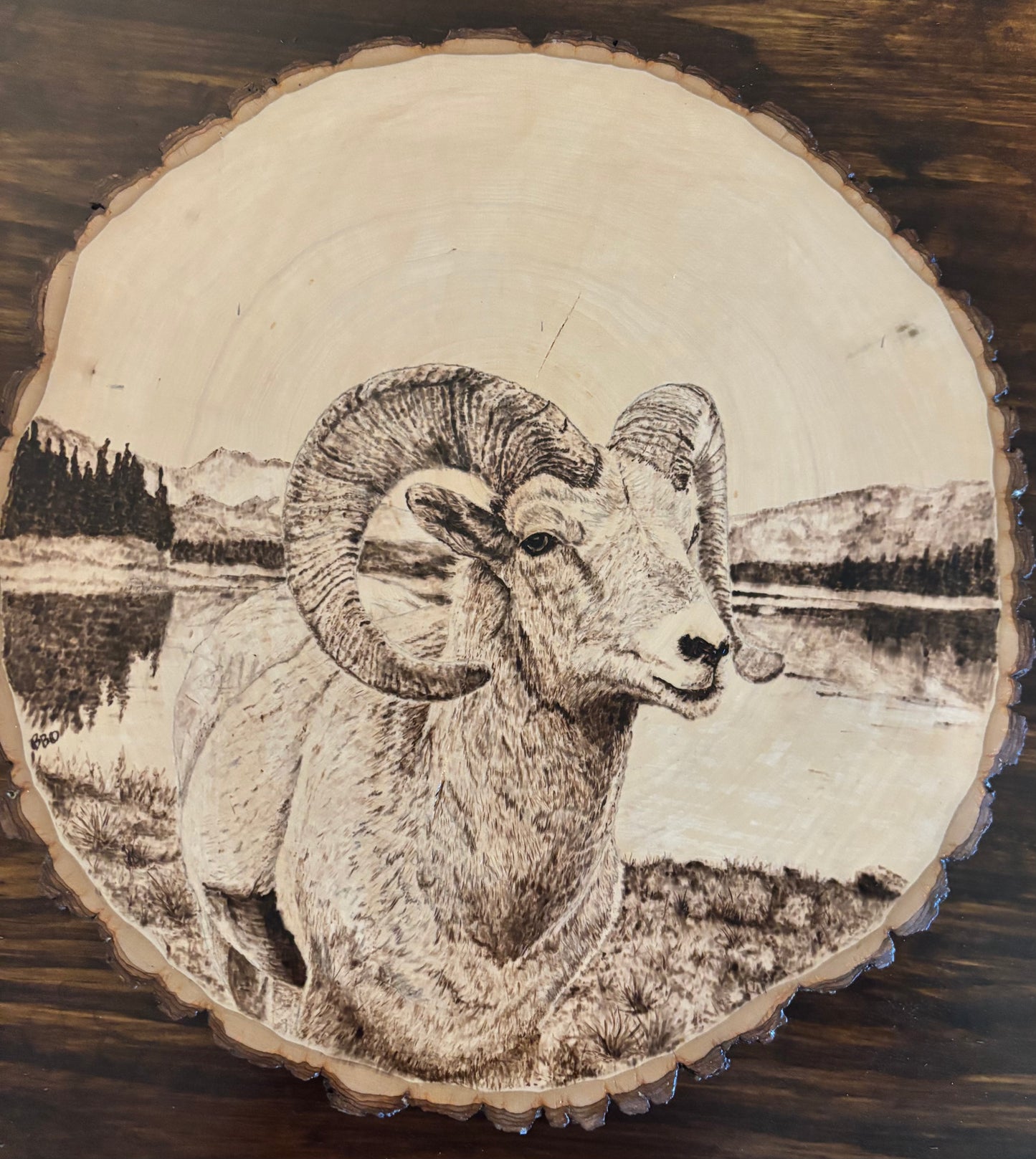 Majestic Bighorn Sheep Woodburned Art
