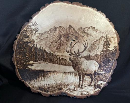 Bull Elk by a Mountain Lake